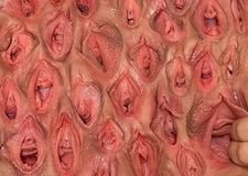 Названа самая красивая вагина в мире