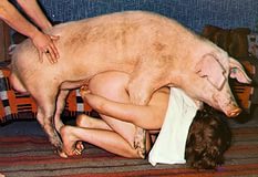 Порно видео ебут свинью. Смотреть гей видео ебут свинью онлайн